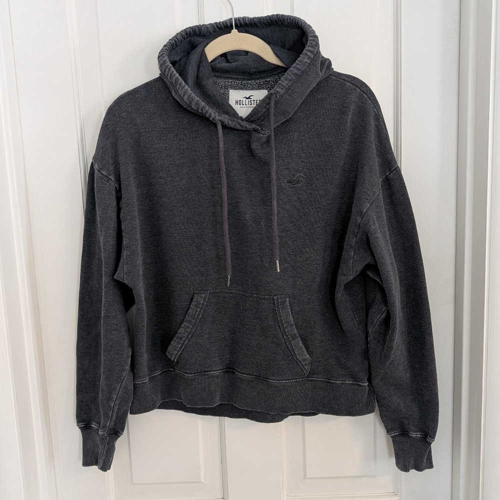 Hollister Women's Pullover Hoodie Sweatshirt‎ MEDIUM Seagull Outdoor Gorpcore